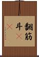 翻筋斗(rK) Scroll