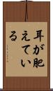 耳が肥えている Scroll
