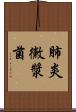 肺炎黴漿菌 Scroll