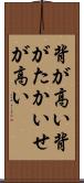 背が高い Scroll