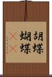 胡蝶 Scroll