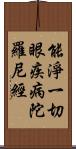 能淨一切眼疾病陀羅尼經 Scroll