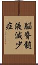 脳脊髄液減少症 Scroll