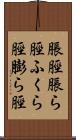 脹脛 Scroll