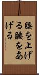 腰を上げる Scroll