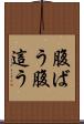 腹ばう Scroll