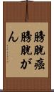 膀胱癌;膀胱がん Scroll