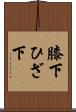 膝下 Scroll