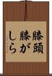 膝頭 Scroll