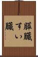 膵臓 Scroll