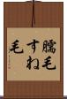 臑毛 Scroll