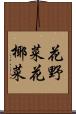 花野菜 Scroll