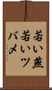 若い燕 Scroll