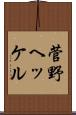 菅野ヘッケル Scroll