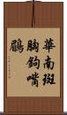 華南斑胸鉤嘴鶥 Scroll