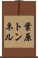 葉原トンネル Scroll