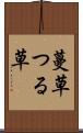 蔓草 Scroll