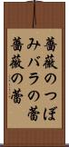薔薇のつぼみ Scroll