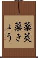薬莢 Scroll