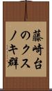 藤崎台のクスノキ群 Scroll