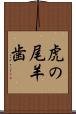 虎の尾羊歯 Scroll
