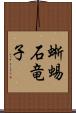 蜥蜴 Scroll