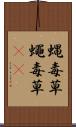 蝿毒草 Scroll