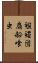 襤褸団扇船喰虫 Scroll