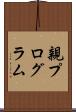 親プログラム Scroll
