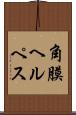 角膜ヘルペス Scroll