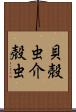 貝殻虫 Scroll