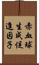 赤血球生成促進因子 Scroll