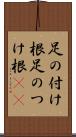 足の付け根 Scroll