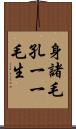 身諸毛孔一一毛生 Scroll