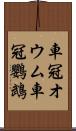 車冠オウム Scroll