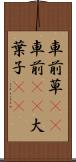 車前草(rK) Scroll