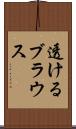 透けるブラウス Scroll
