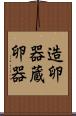 造卵器 Scroll