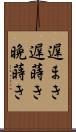 遅まき Scroll