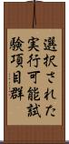 選択された実行可能試験項目群 Scroll
