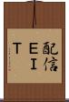 配信ＥＩＴ Scroll