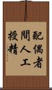配偶者間人工授精 Scroll