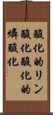 酸化的リン酸化 Scroll