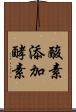 酸素添加酵素 Scroll