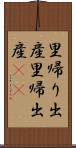 里帰り出産 Scroll