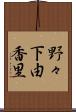 野々下由香里 Scroll