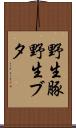 野生豚 Scroll