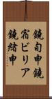 鐃旬￥申鐃宿ビリア鐃緒申 Scroll