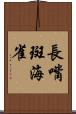長嘴斑海雀 Scroll