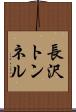 長沢トンネル Scroll